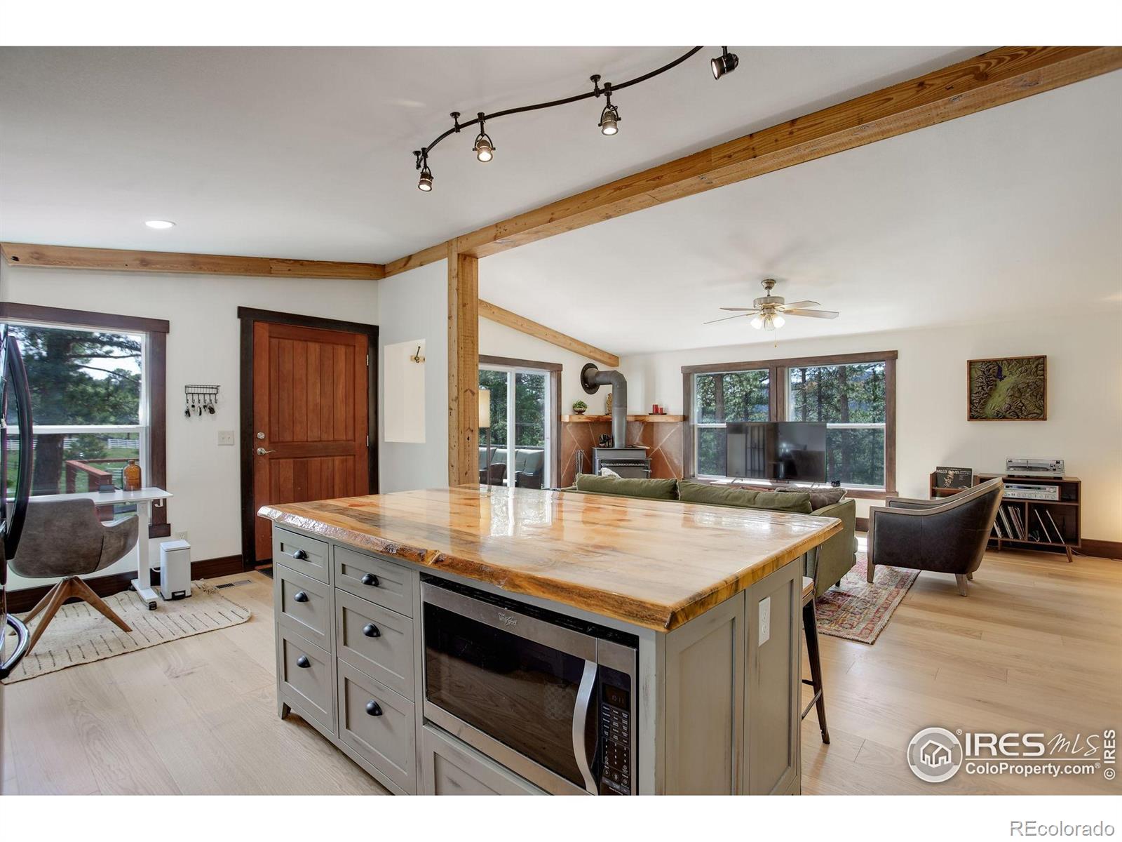 MLS Image #9 for 277  ski road,allenspark, Colorado