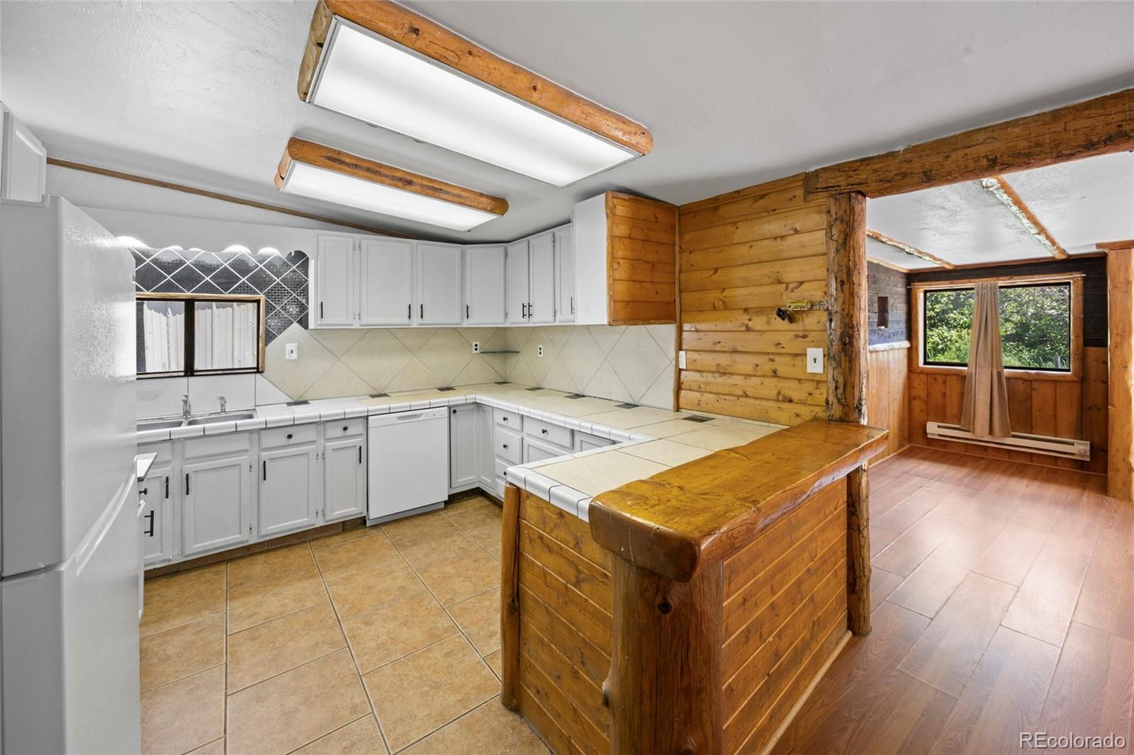 MLS Image #7 for 209  county road 308 ,dumont, Colorado