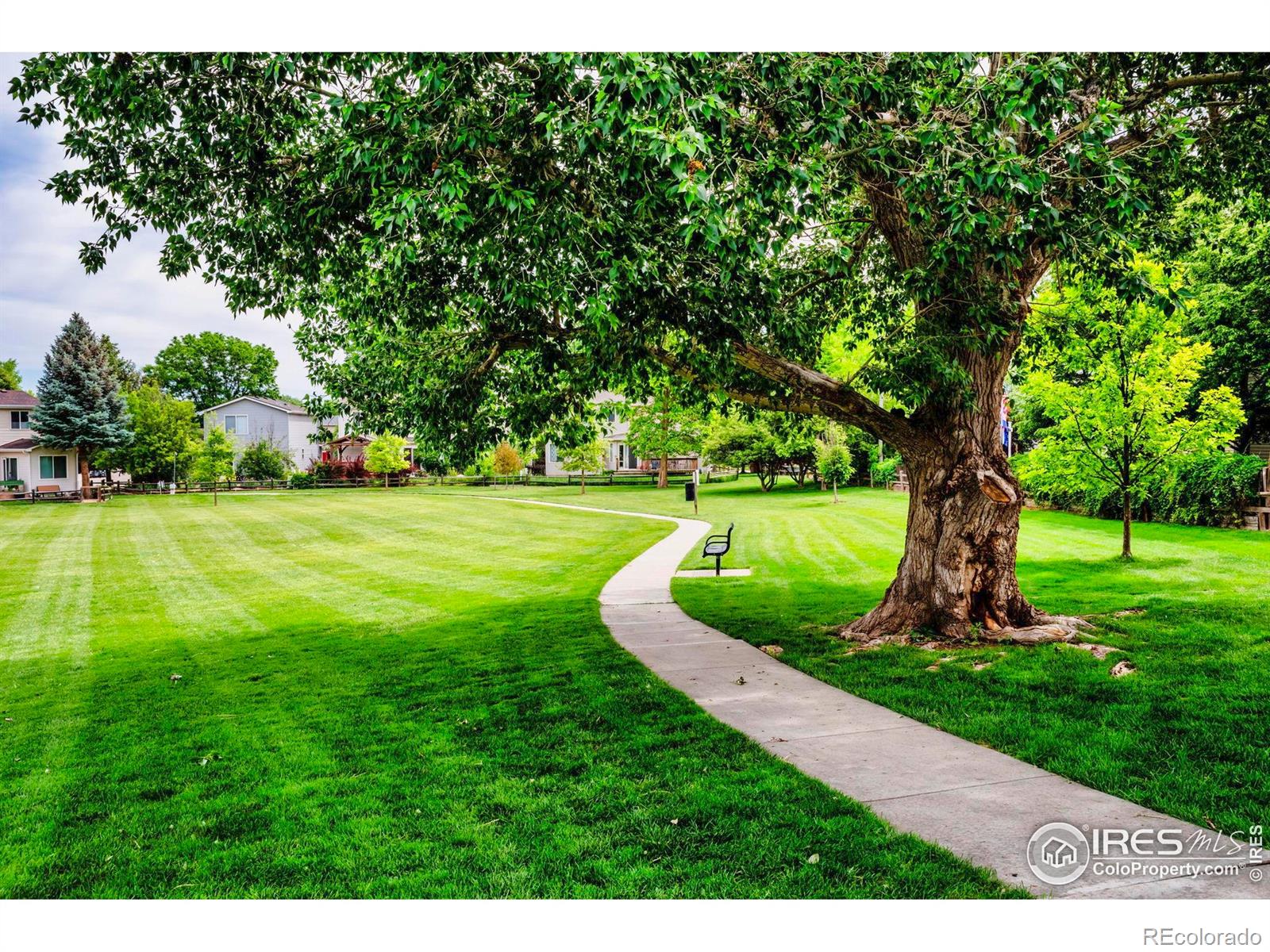 MLS Image #31 for 1309  red mountain drive,longmont, Colorado