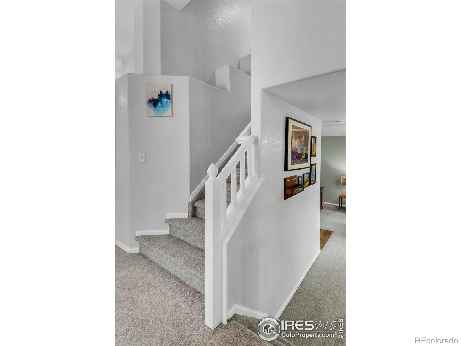 MLS Image #8 for 1309  red mountain drive,longmont, Colorado