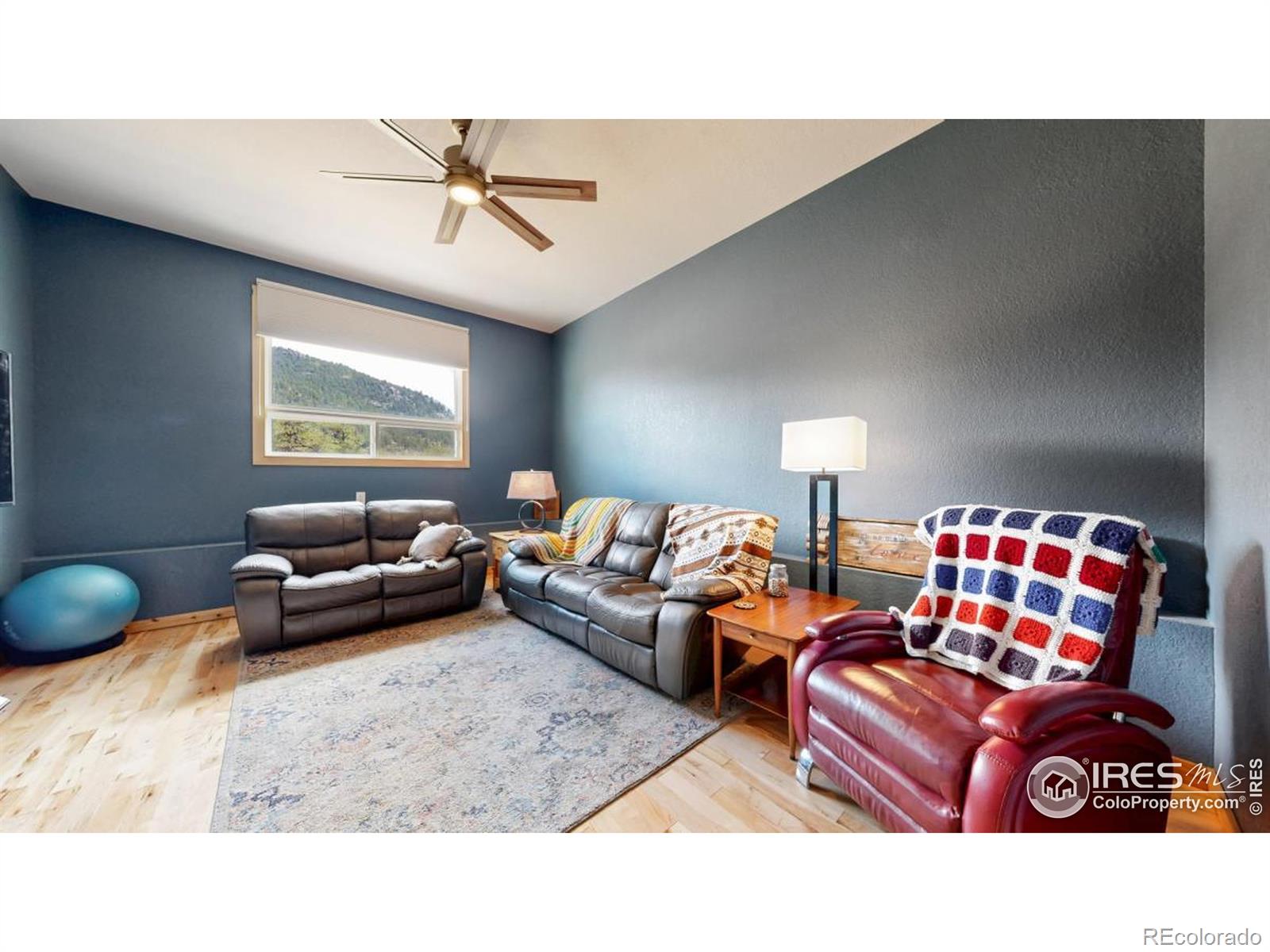 MLS Image #16 for 198  may avenue,lyons, Colorado
