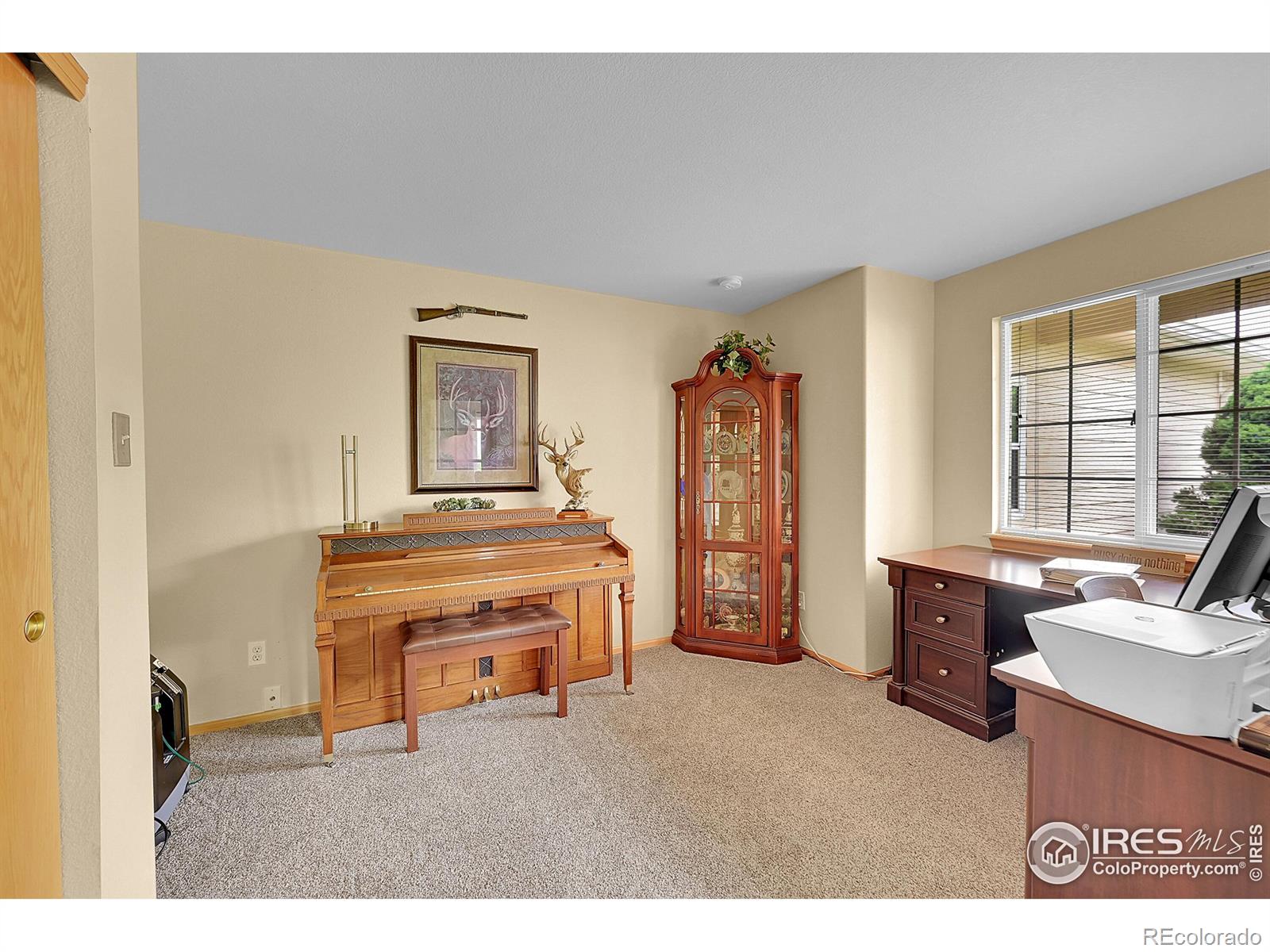 MLS Image #21 for 13112  summit grove parkway,thornton, Colorado