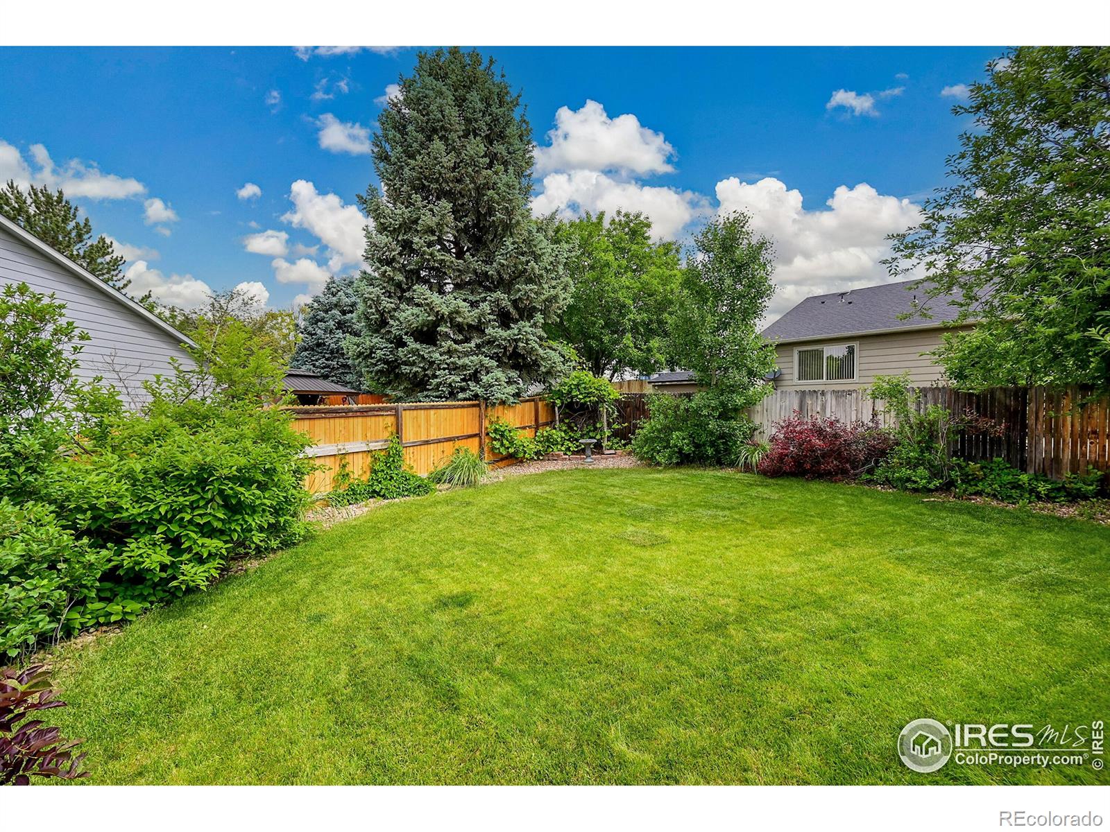 MLS Image #31 for 13112  summit grove parkway,thornton, Colorado