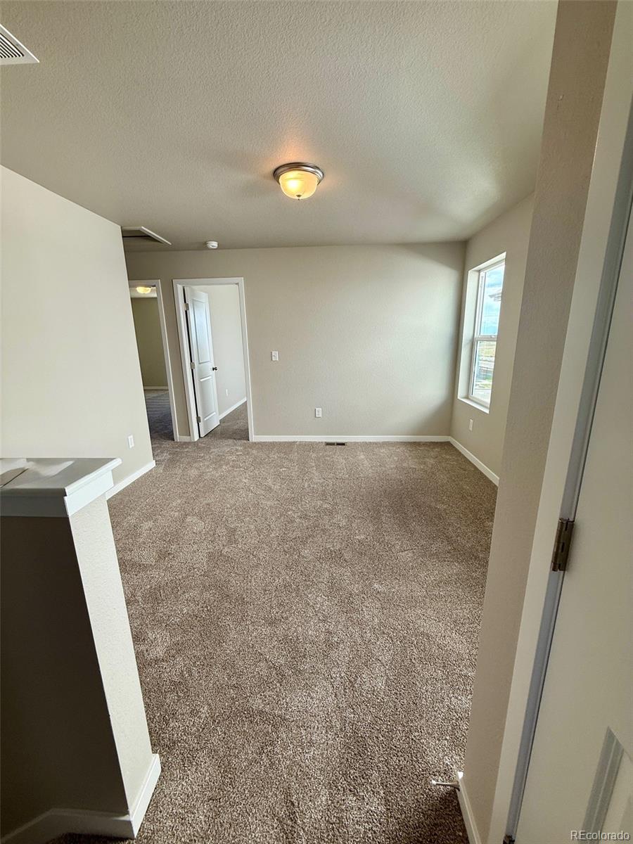 MLS Image #9 for 834 n bently street,watkins, Colorado
