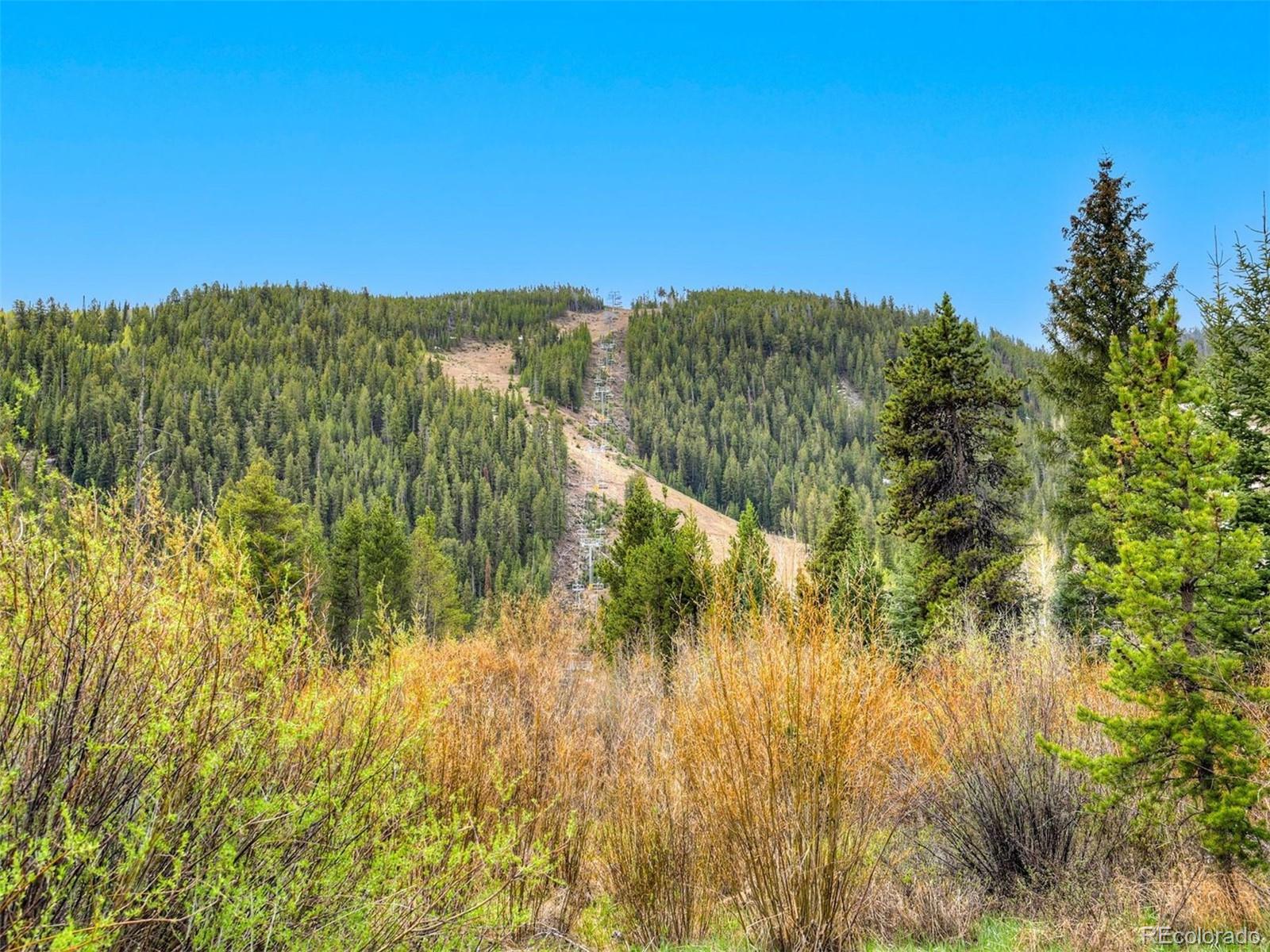 MLS Image #16 for 23034  us highway 6 ,dillon, Colorado