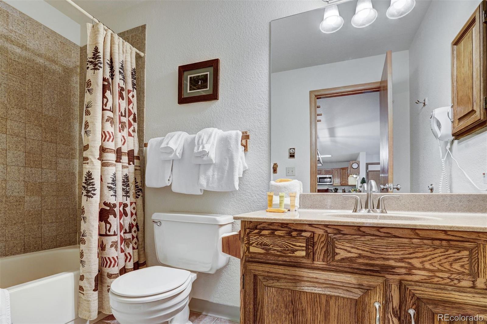 MLS Image #21 for 23034  us highway 6 ,dillon, Colorado