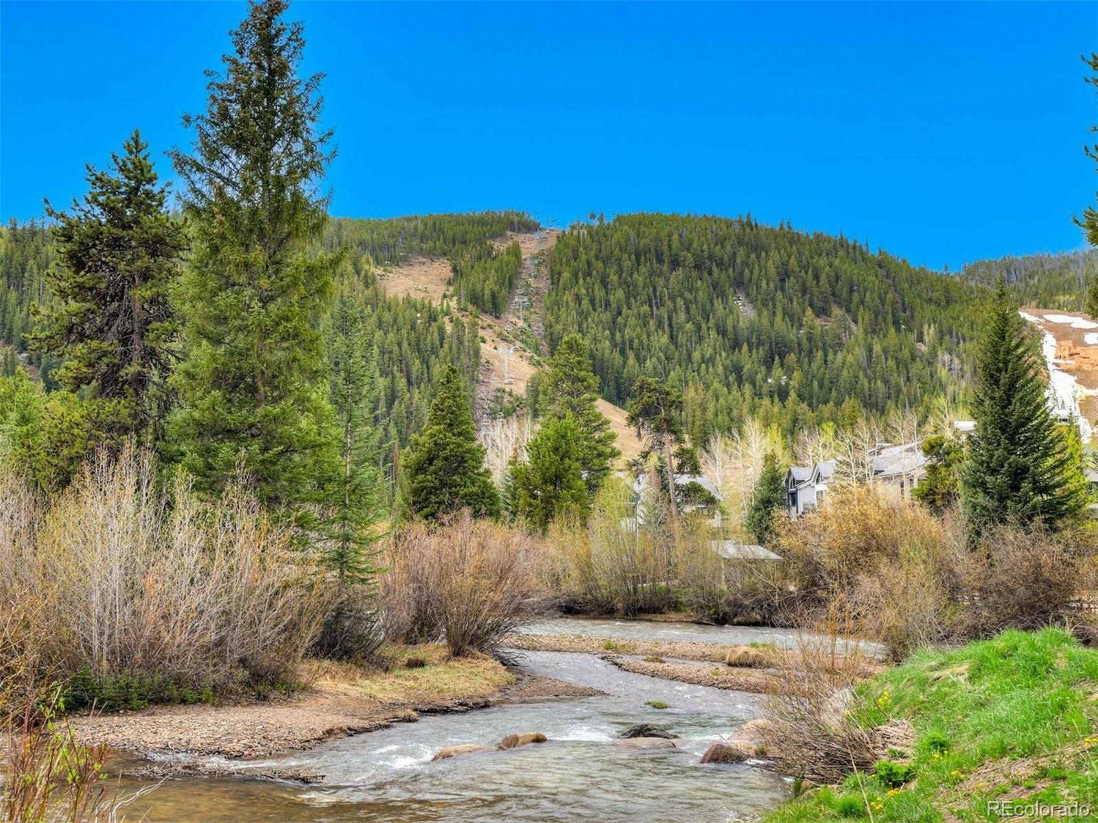 MLS Image #3 for 23034  us highway 6 ,dillon, Colorado