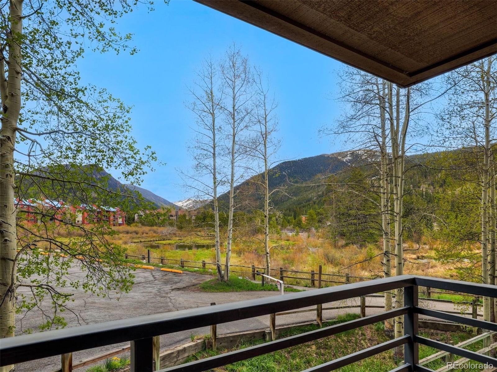 MLS Image #4 for 23034  us highway 6 ,dillon, Colorado