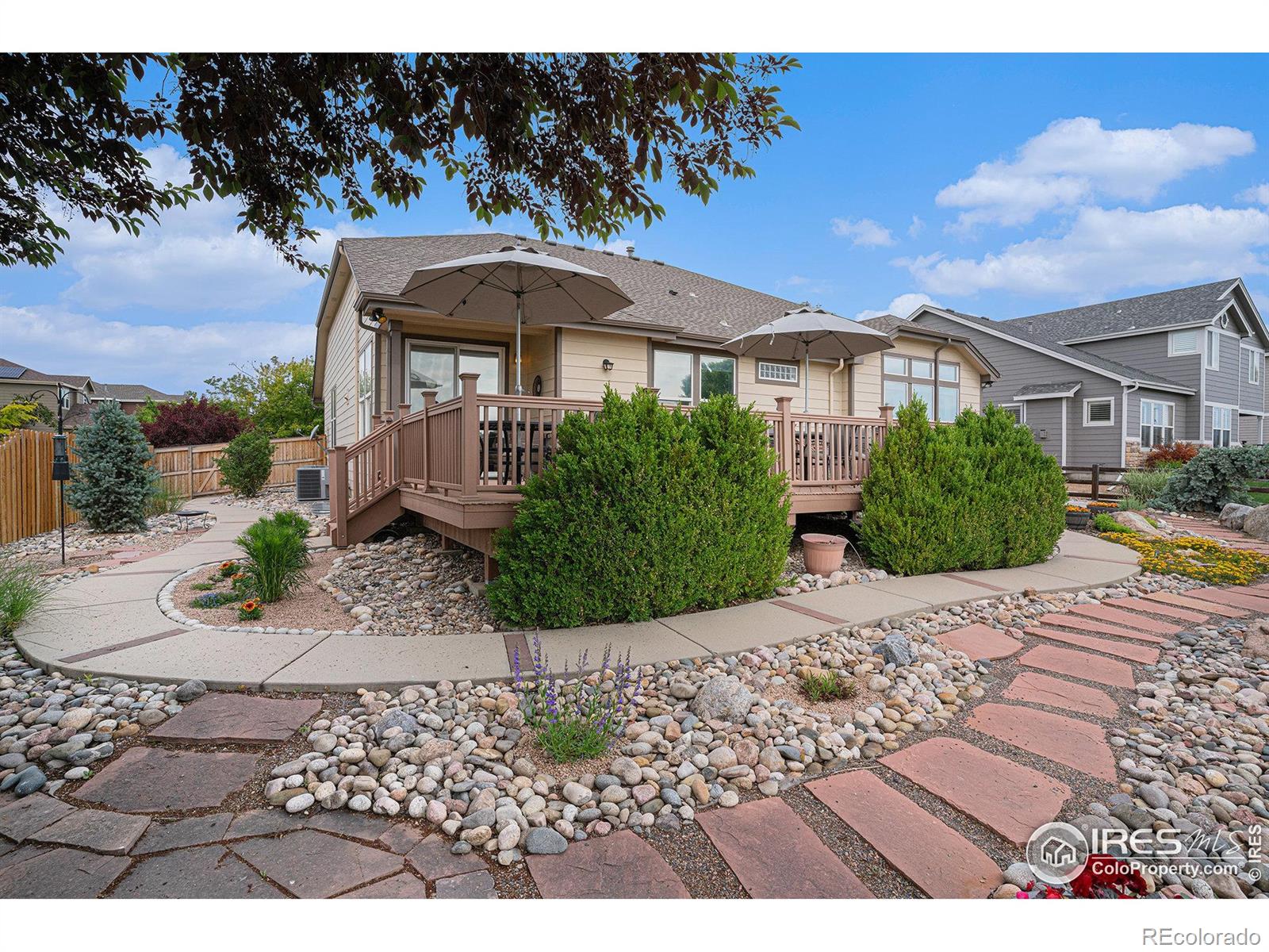 MLS Image #5 for 1826  lochmore drive,longmont, Colorado