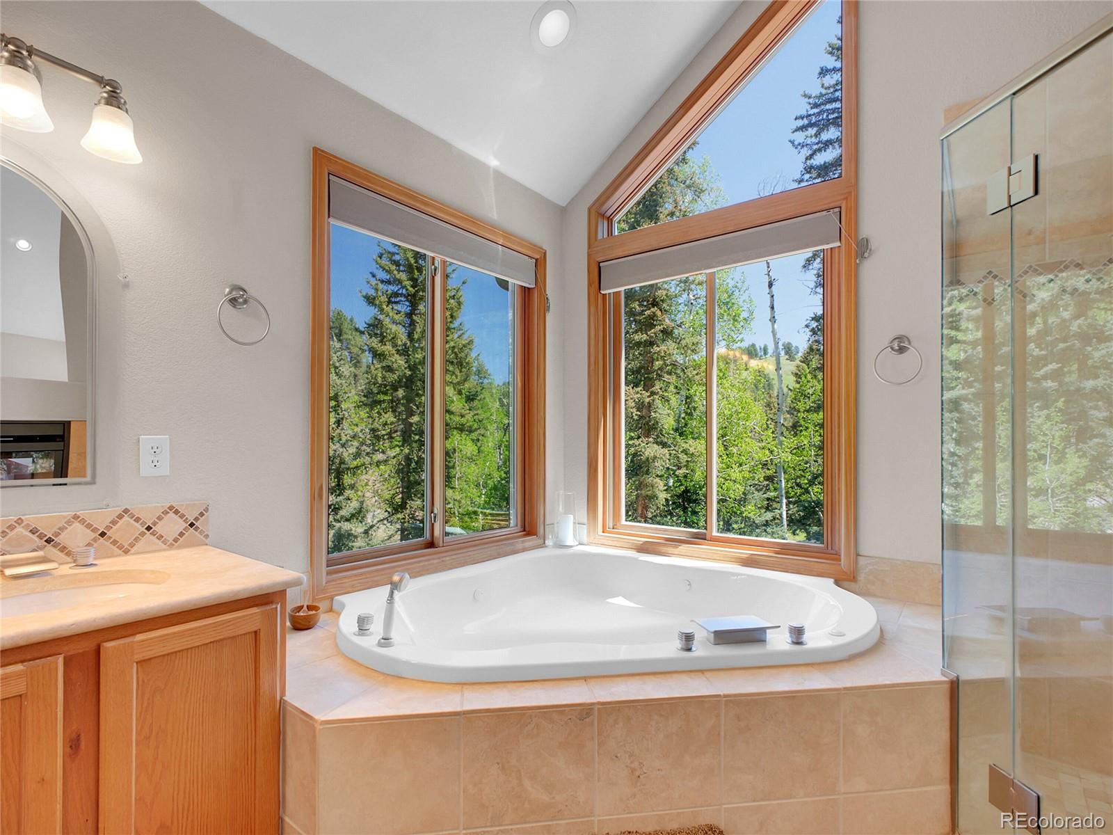 MLS Image #22 for 11768  black hawk drive,conifer, Colorado