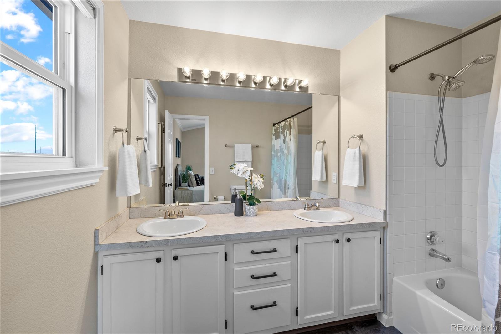 MLS Image #24 for 3968  ashcroft avenue,castle rock, Colorado