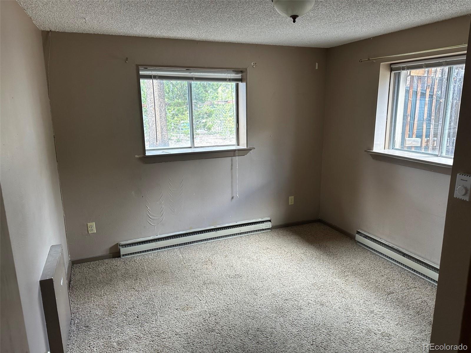 MLS Image #11 for 408  2nd avenue,frisco, Colorado