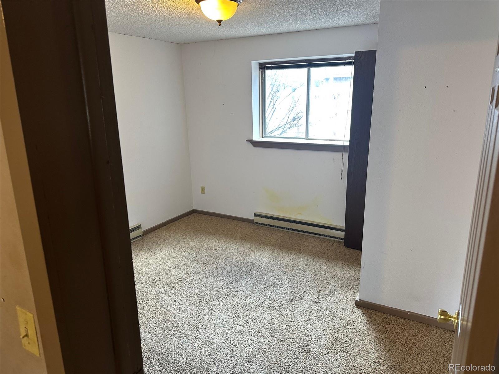 MLS Image #13 for 408  2nd avenue,frisco, Colorado