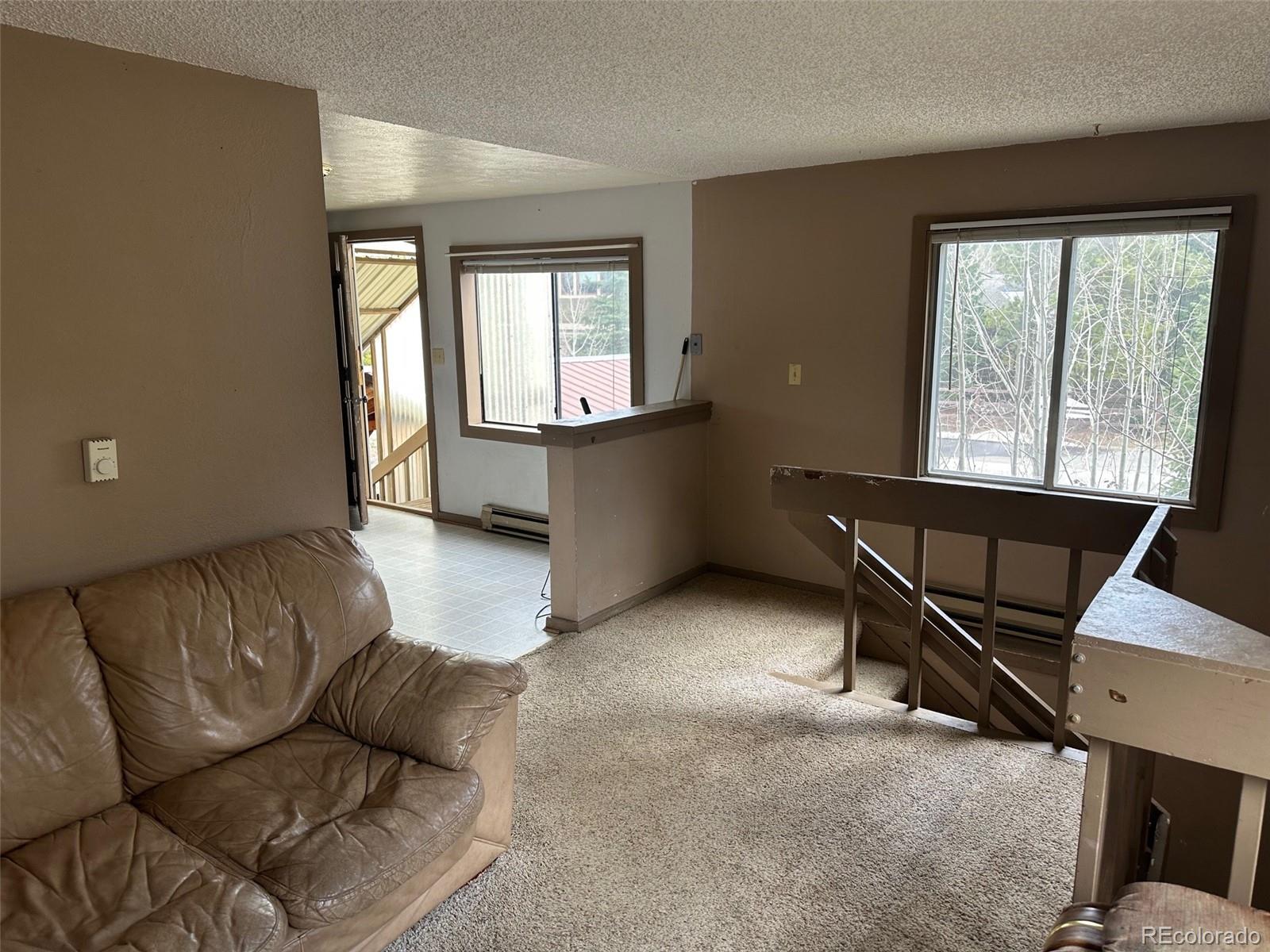 MLS Image #4 for 408  2nd avenue,frisco, Colorado