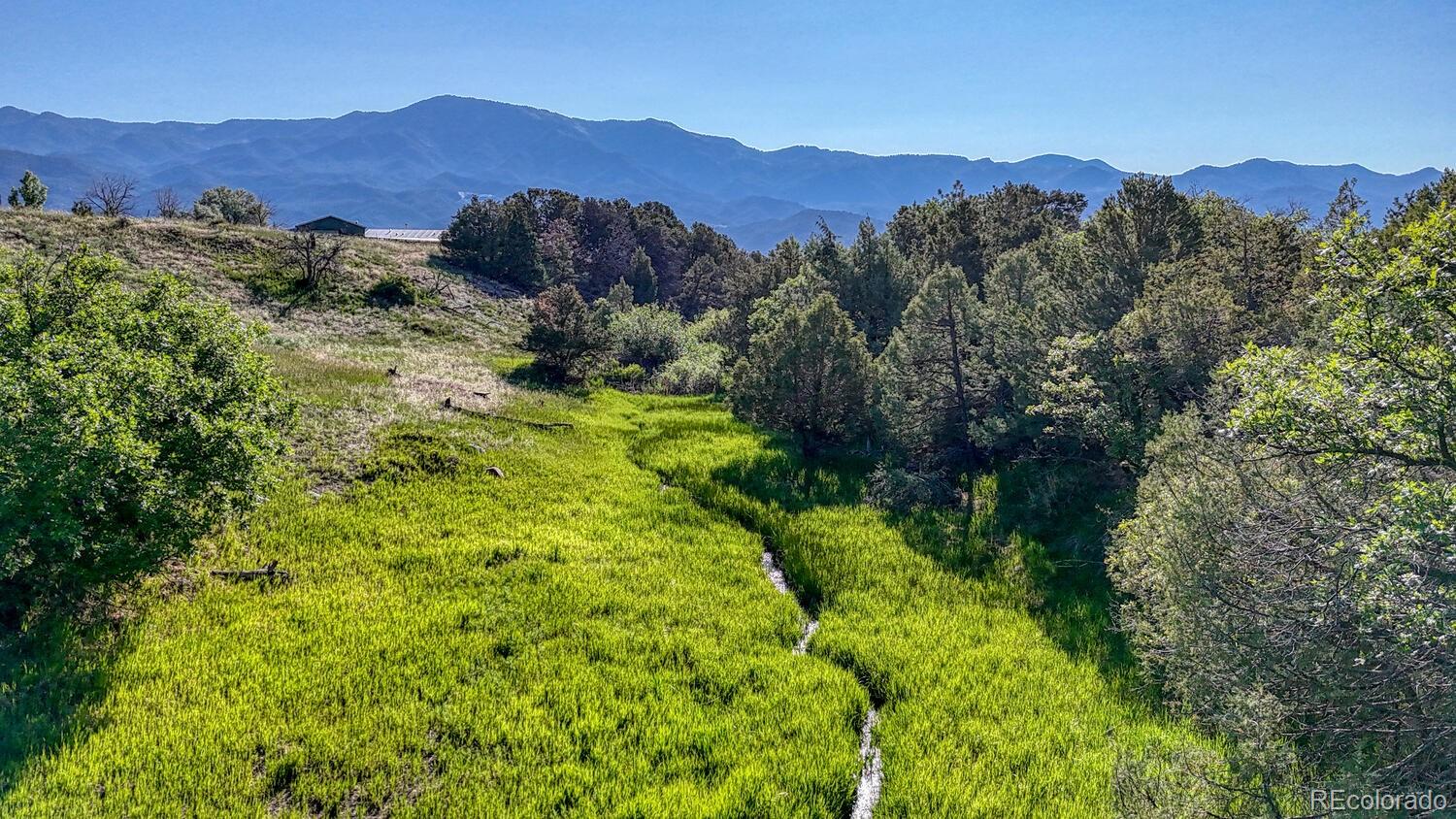 MLS Image #5 for 236  boreen way,howard, Colorado
