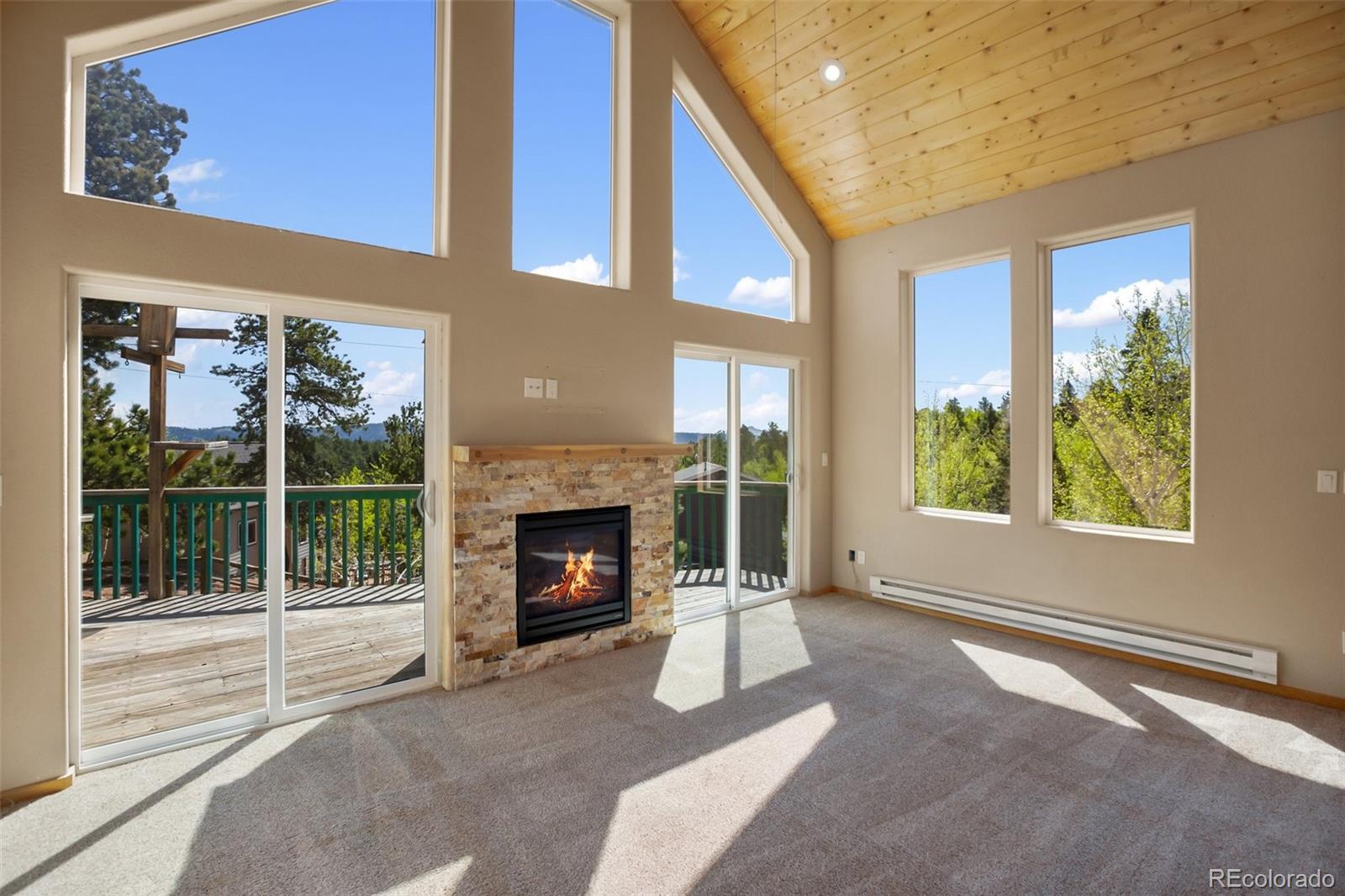 MLS Image #3 for 50  dakota lane,woodland park, Colorado