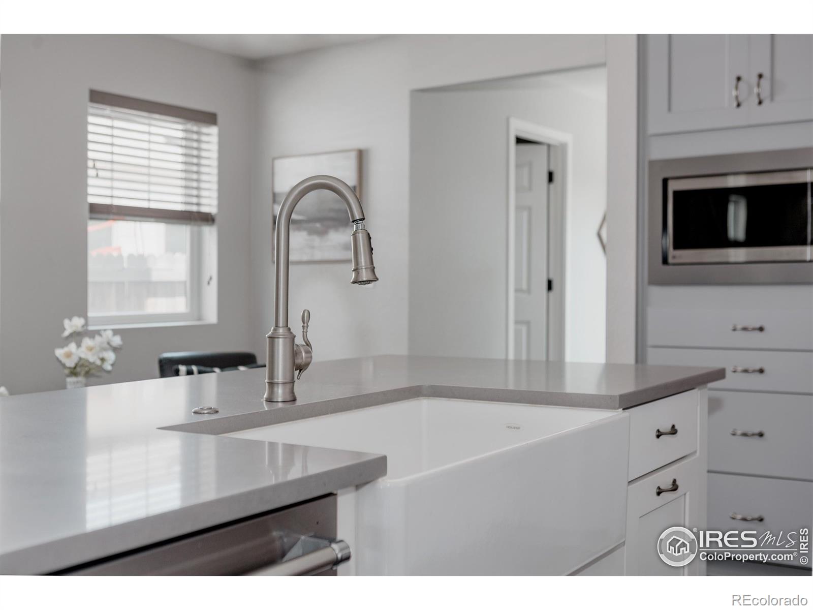 MLS Image #13 for 3346 n josephine street,denver, Colorado
