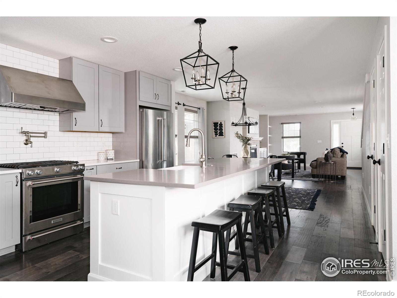 MLS Image #9 for 3346 n josephine street,denver, Colorado