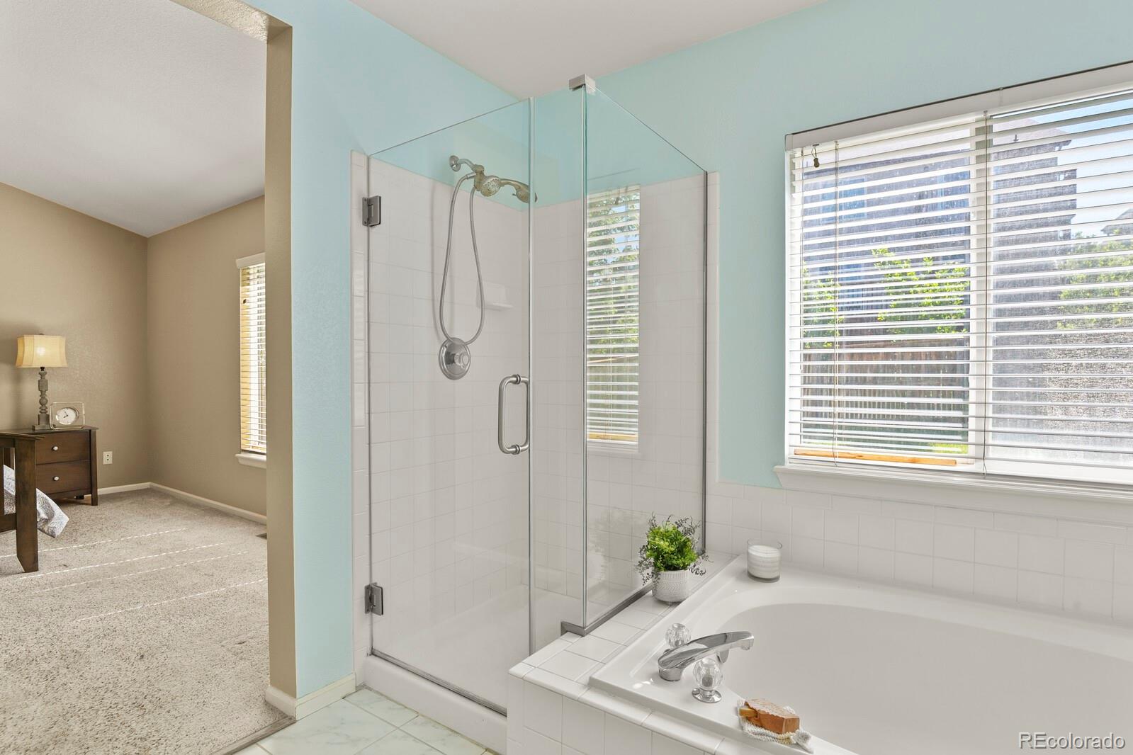 MLS Image #15 for 9860  burberry way,highlands ranch, Colorado