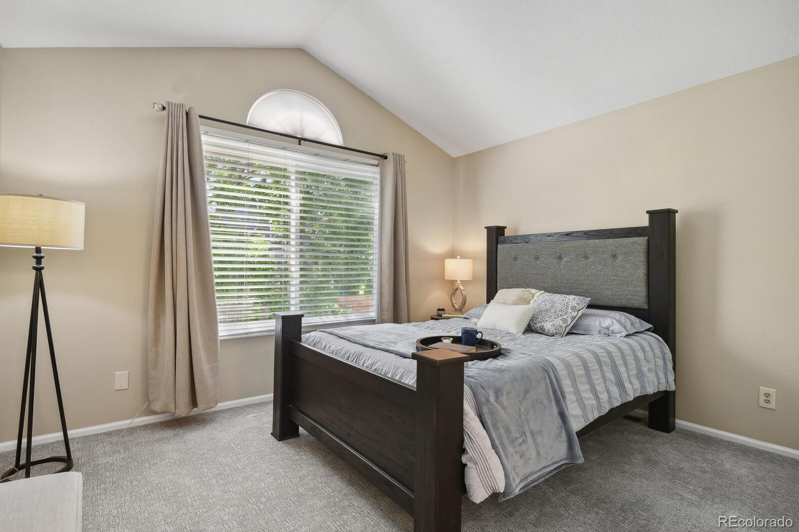 MLS Image #13 for 9564  cordova drive,highlands ranch, Colorado