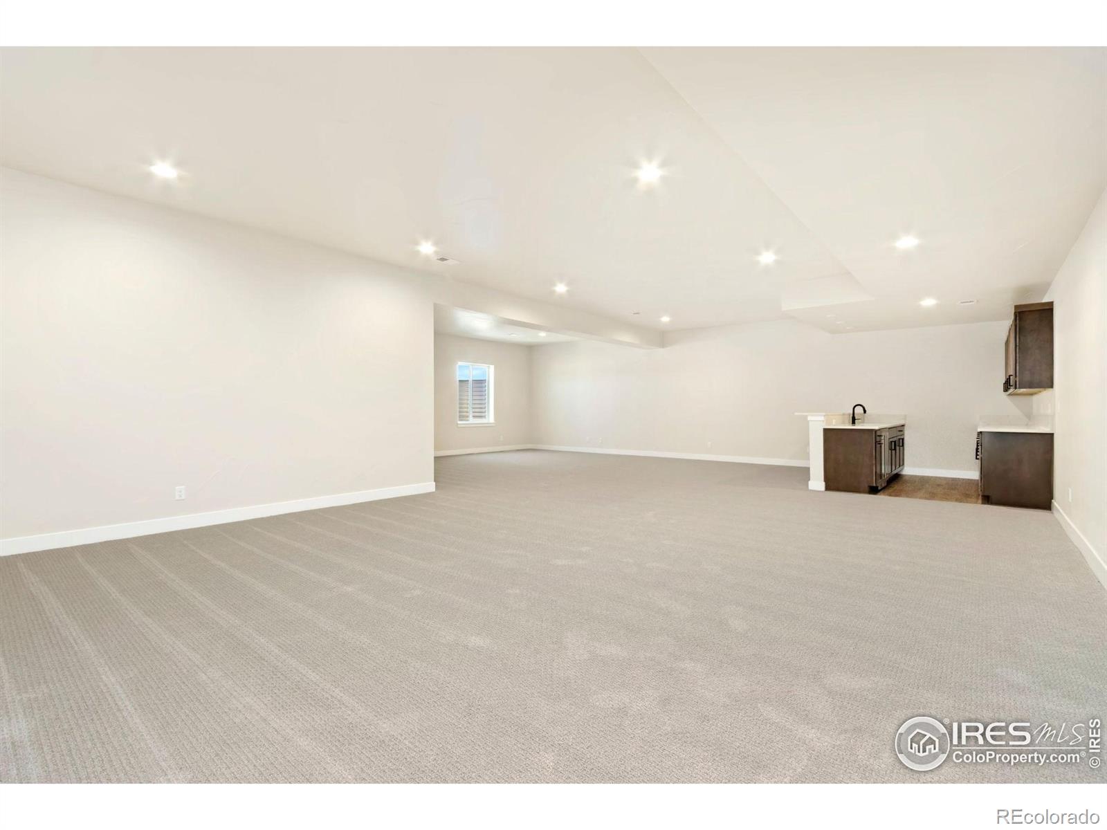 MLS Image #13 for 1889  spring bloom drive,windsor, Colorado