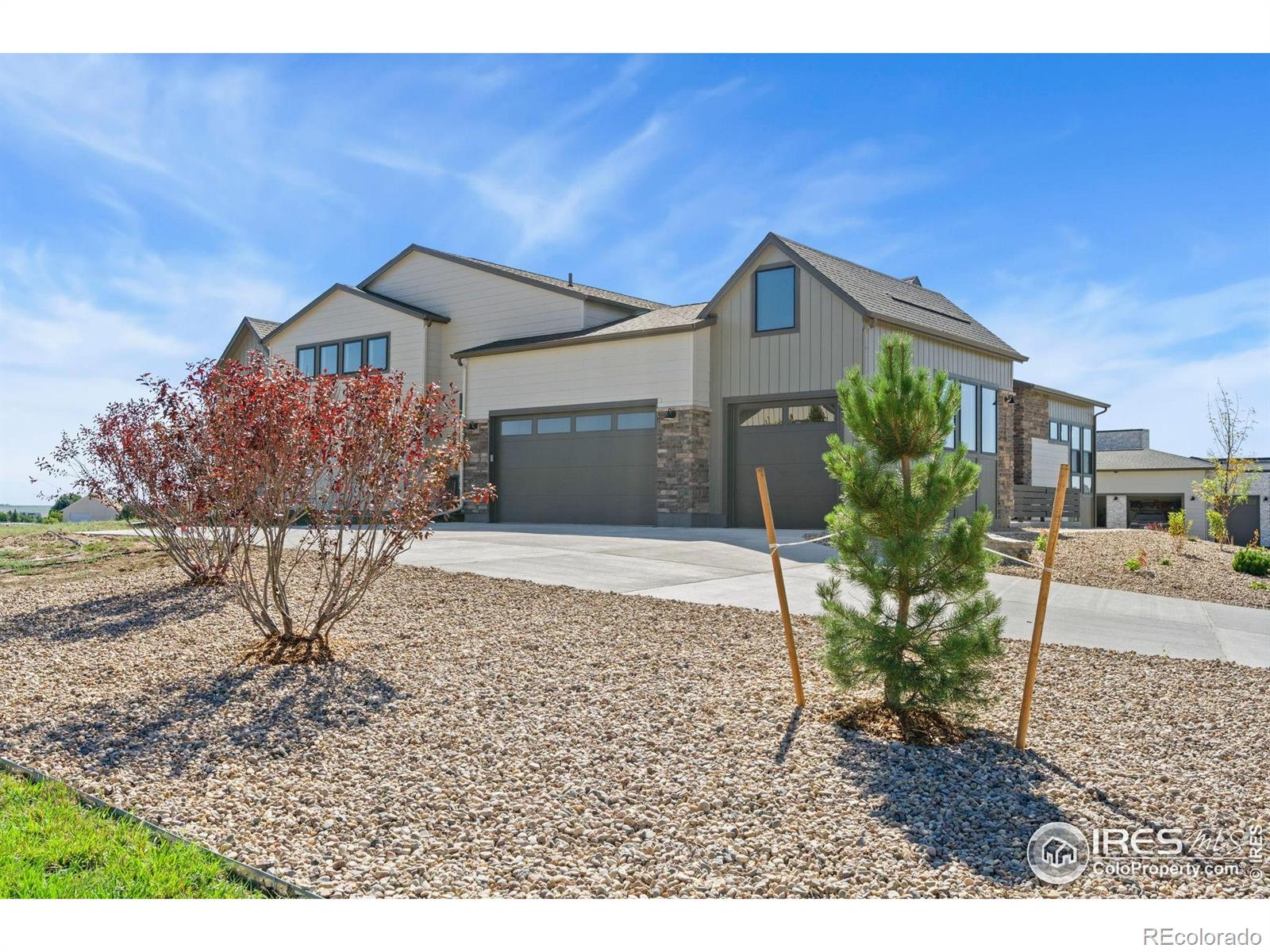 MLS Image #20 for 1889  spring bloom drive,windsor, Colorado