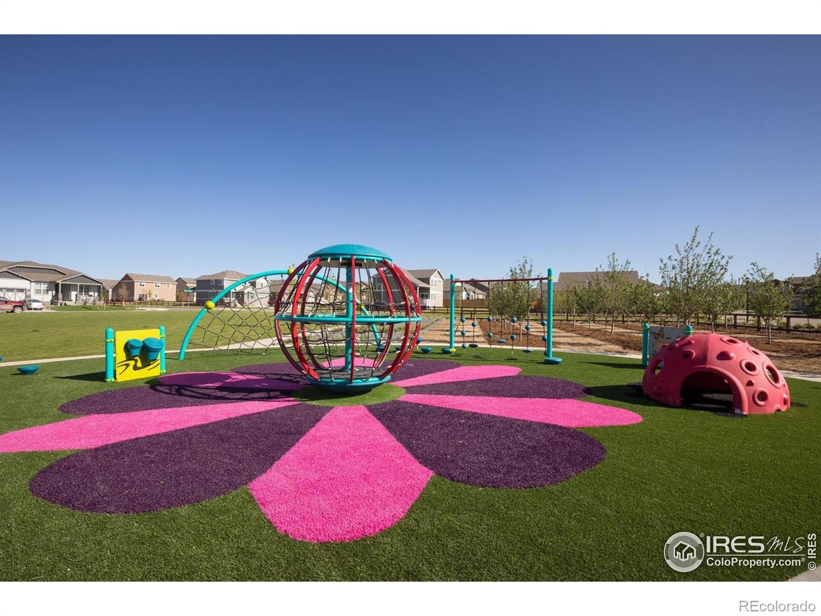 MLS Image #29 for 1889  spring bloom drive,windsor, Colorado