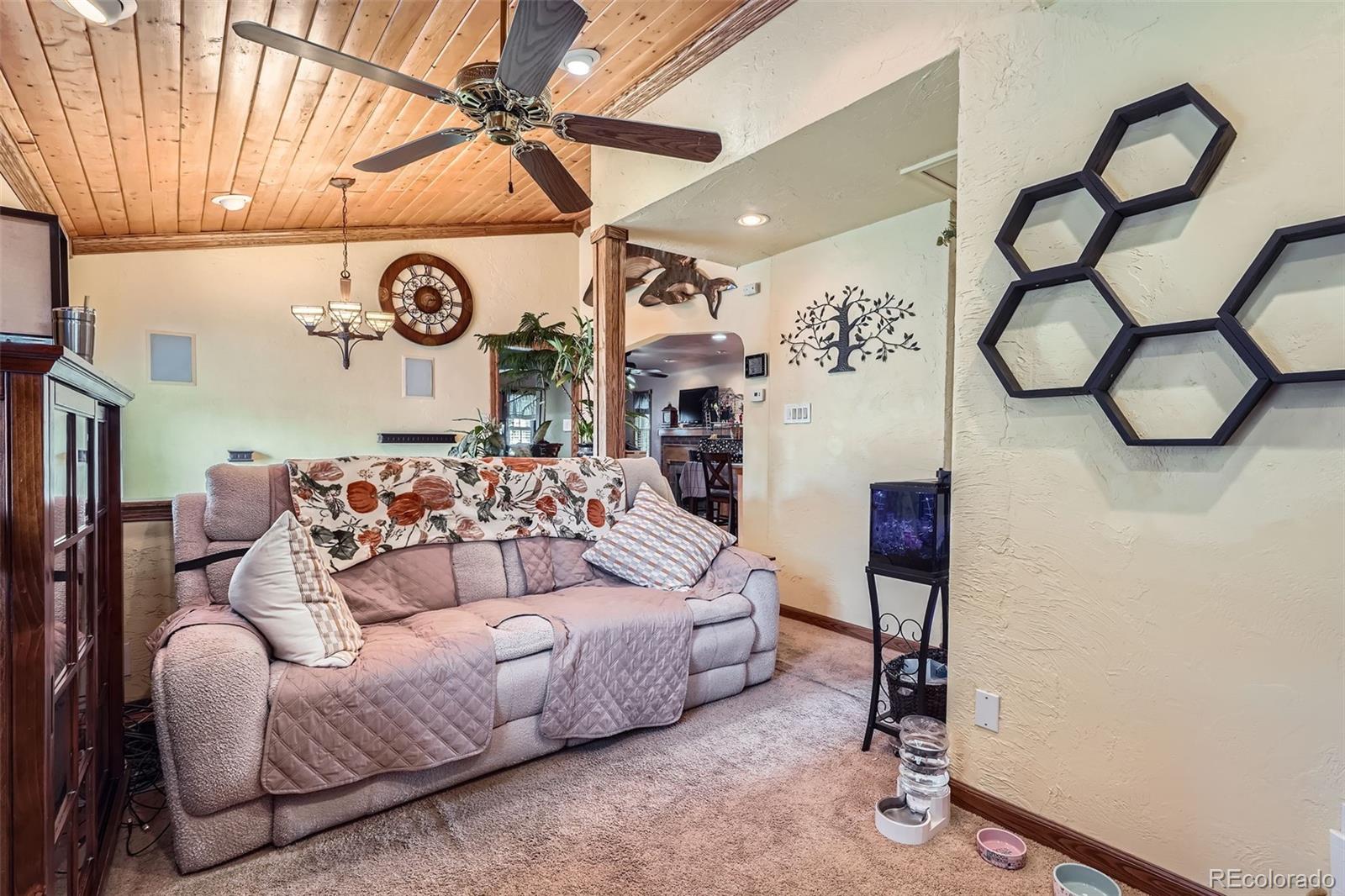 MLS Image #13 for 5704  ammons street,arvada, Colorado
