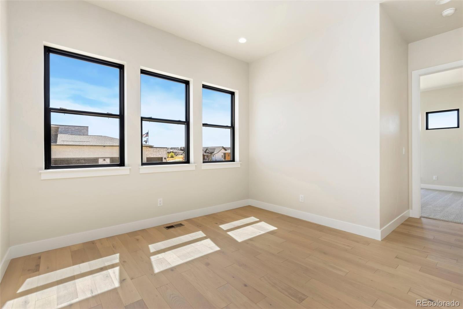 MLS Image #10 for 1889  spring bloom drive,windsor, Colorado