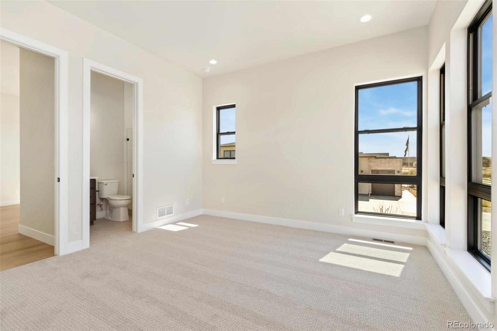 MLS Image #11 for 1889  spring bloom drive,windsor, Colorado