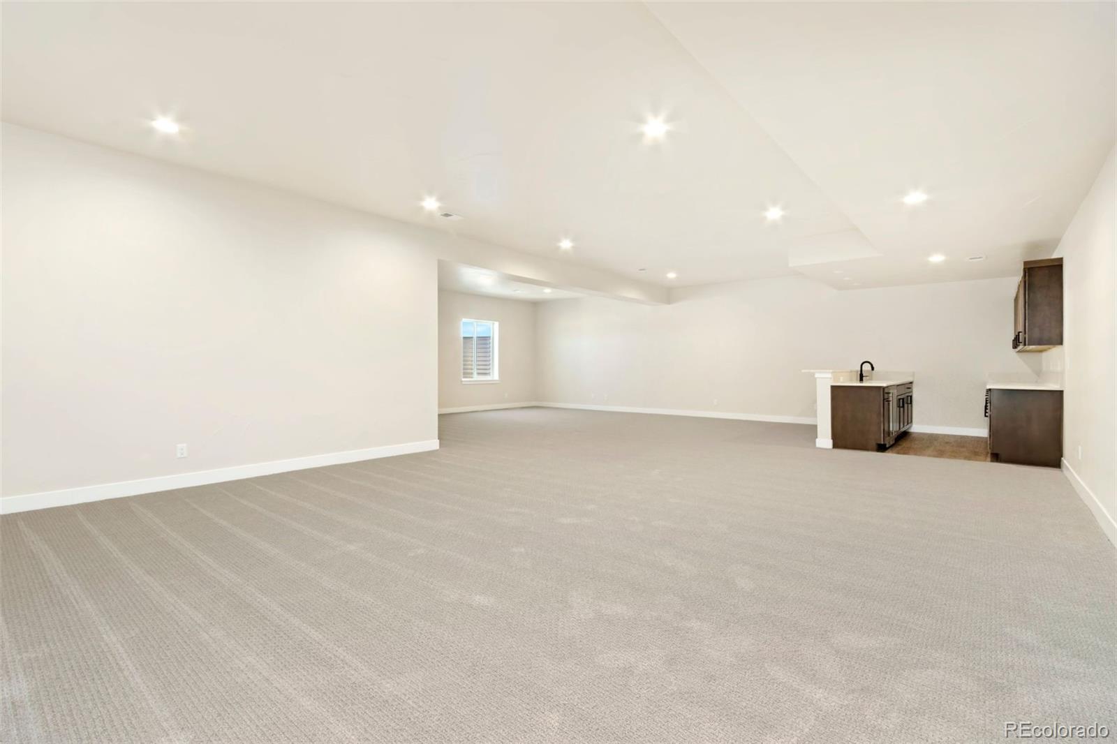 MLS Image #13 for 1889  spring bloom drive,windsor, Colorado