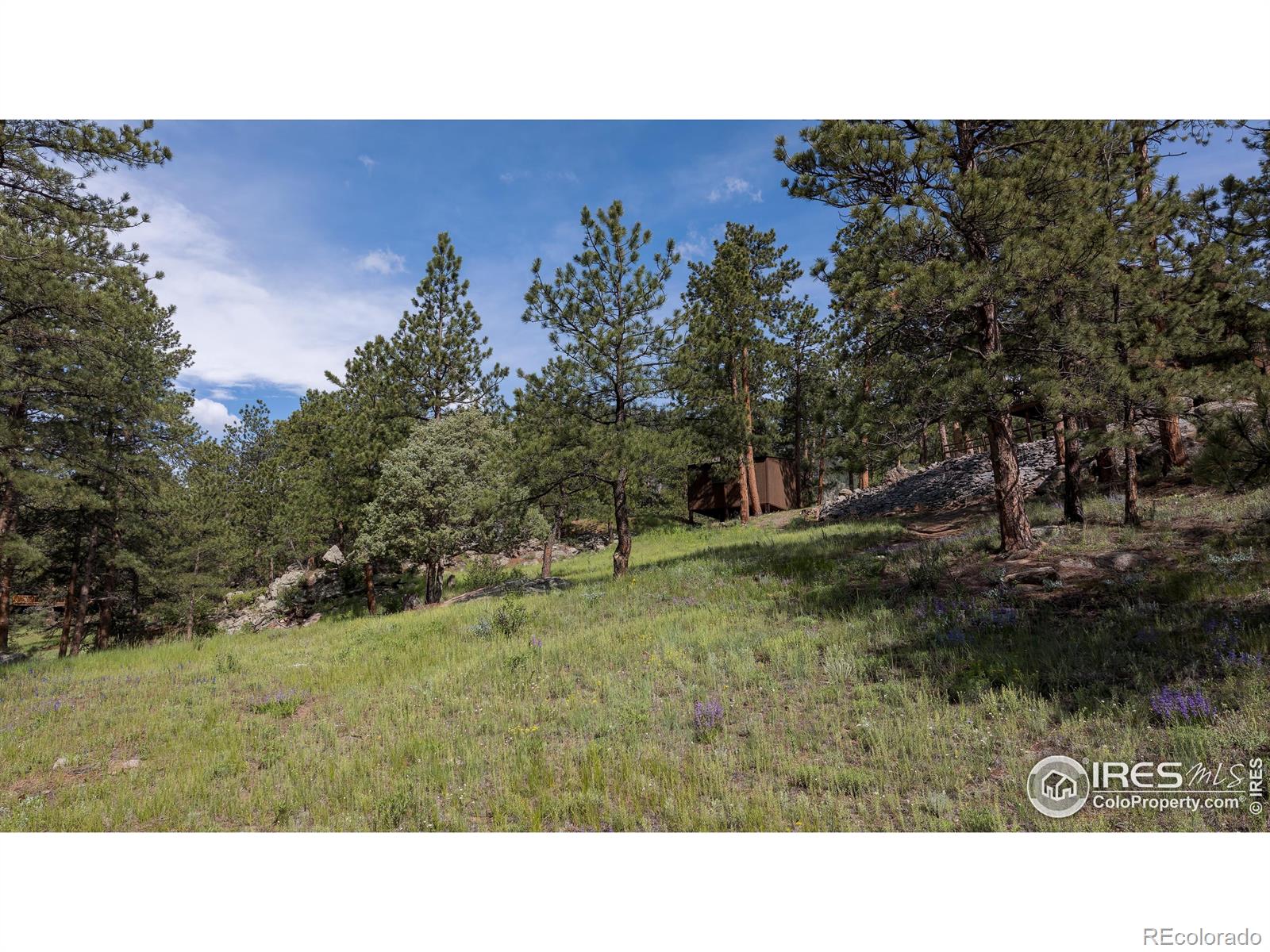 MLS Image #37 for 28  ute crossing court,lyons, Colorado