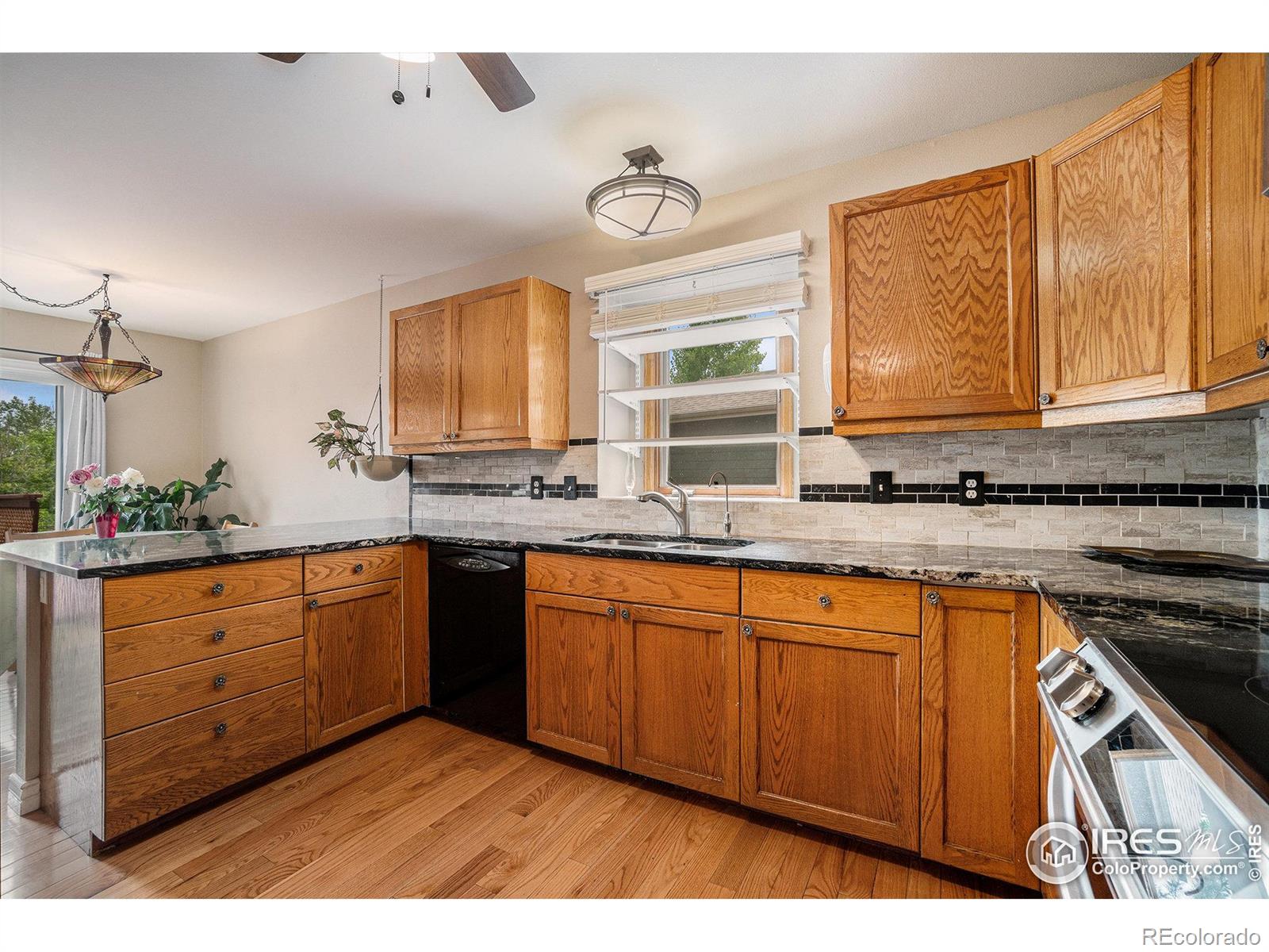 MLS Image #4 for 5942  colby street,fort collins, Colorado