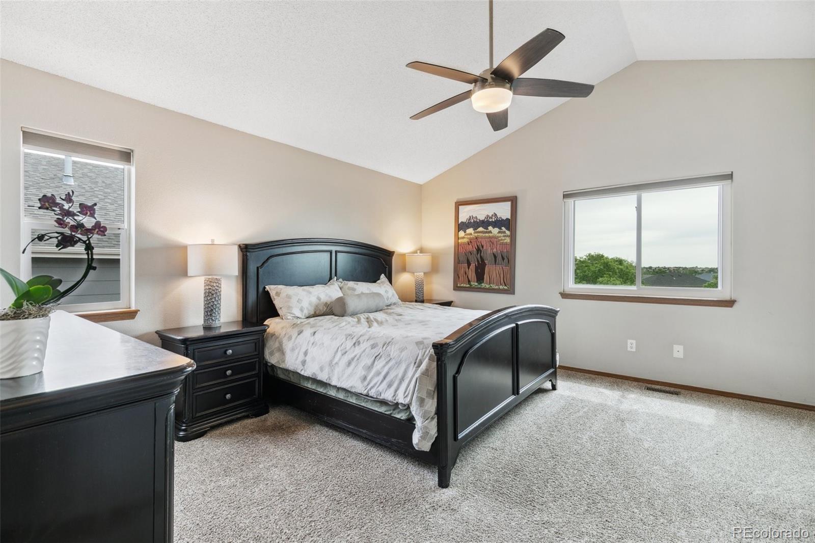 MLS Image #17 for 5040  sweetgrass lane,colorado springs, Colorado
