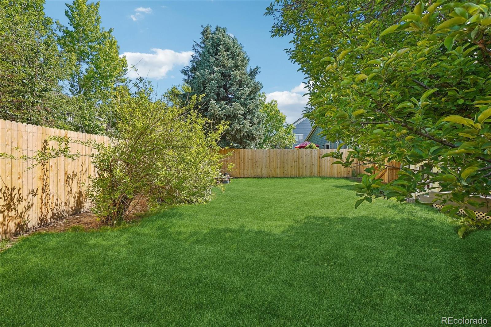 MLS Image #19 for 5612 s jebel way,centennial, Colorado