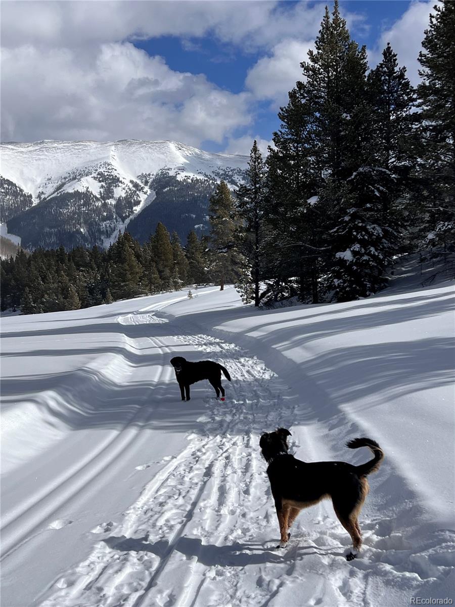 MLS Image #29 for 68  golf course drive,copper mountain, Colorado