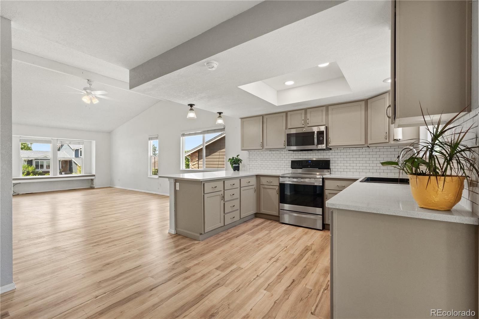 MLS Image #10 for 381  mountain cloud circle,highlands ranch, Colorado