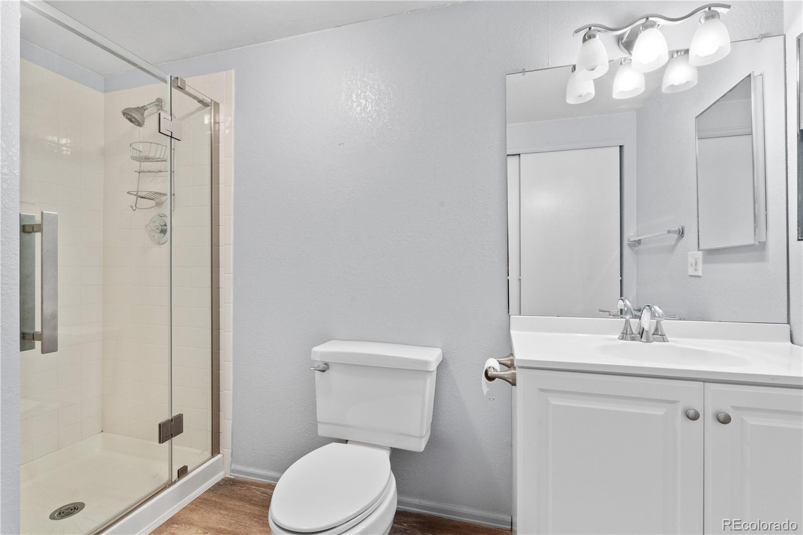 MLS Image #37 for 381  mountain cloud circle,highlands ranch, Colorado