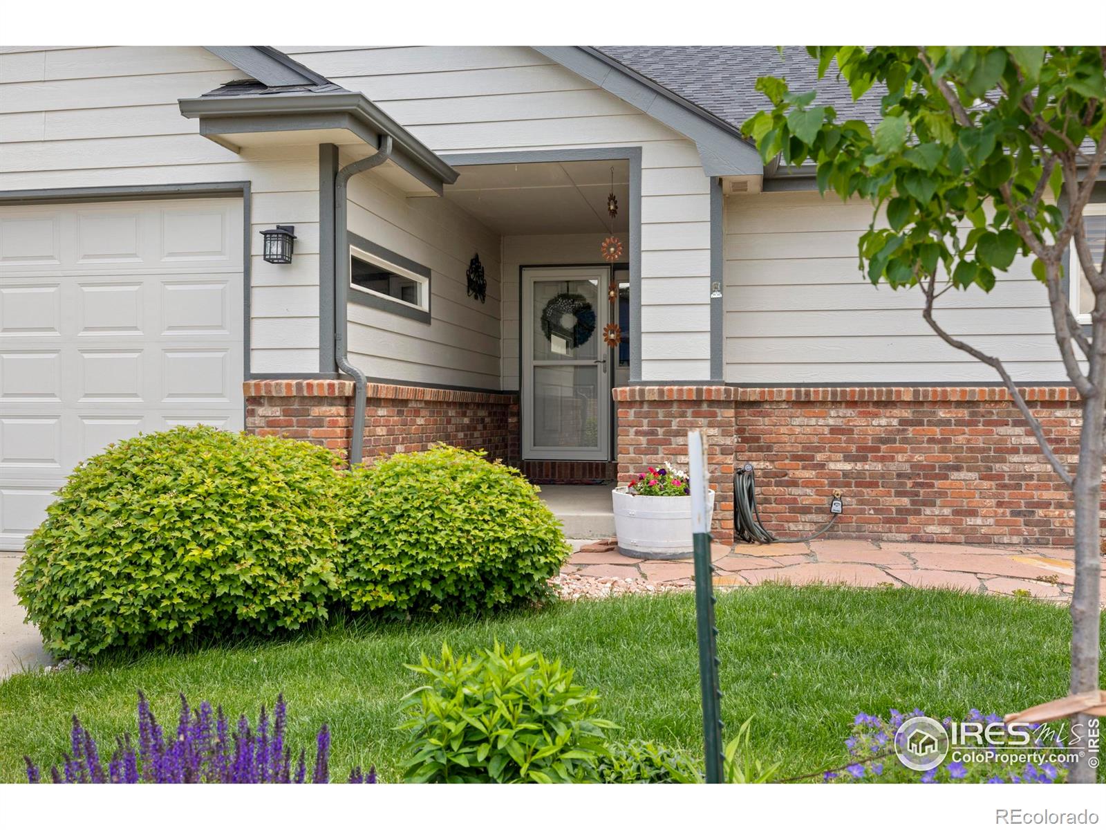 MLS Image #7 for 2325  birdie way,milliken, Colorado