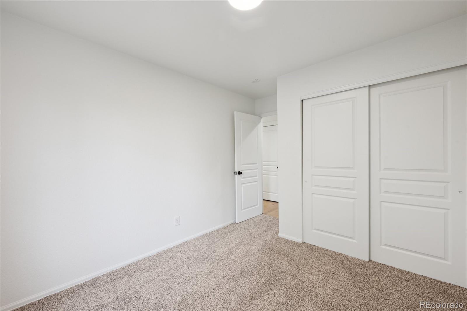 MLS Image #21 for 4530  star ridge drive,colorado springs, Colorado