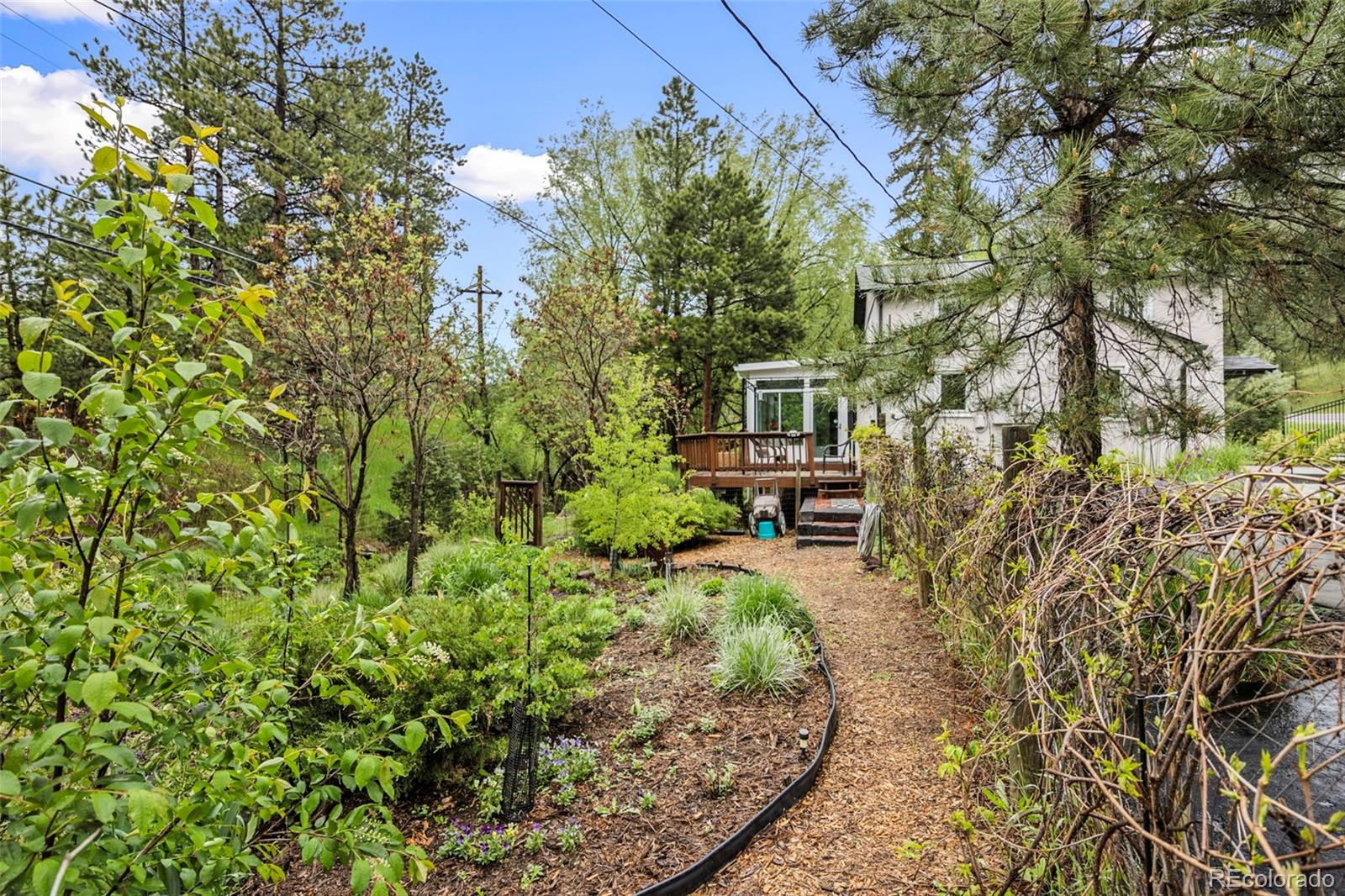MLS Image #21 for 5071  parmalee gulch road,indian hills, Colorado