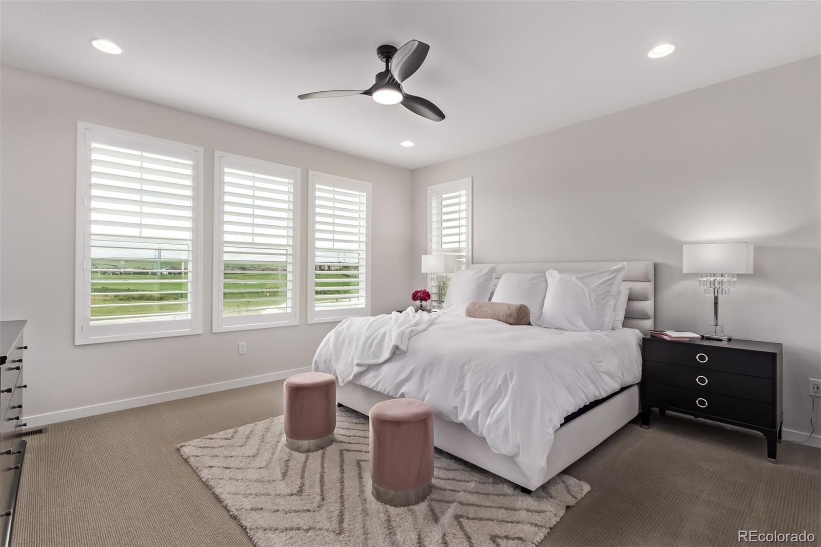 MLS Image #23 for 14998  cast pebble circle,parker, Colorado