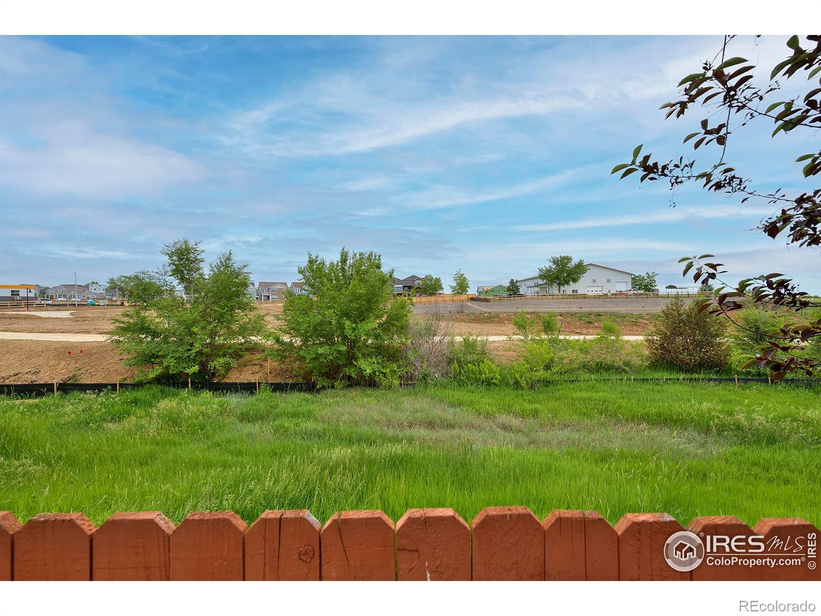 MLS Image #35 for 14075  willow wood court,broomfield, Colorado