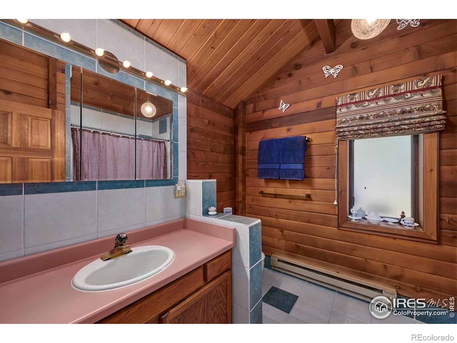 MLS Image #10 for 78  county road 68 ,nederland, Colorado