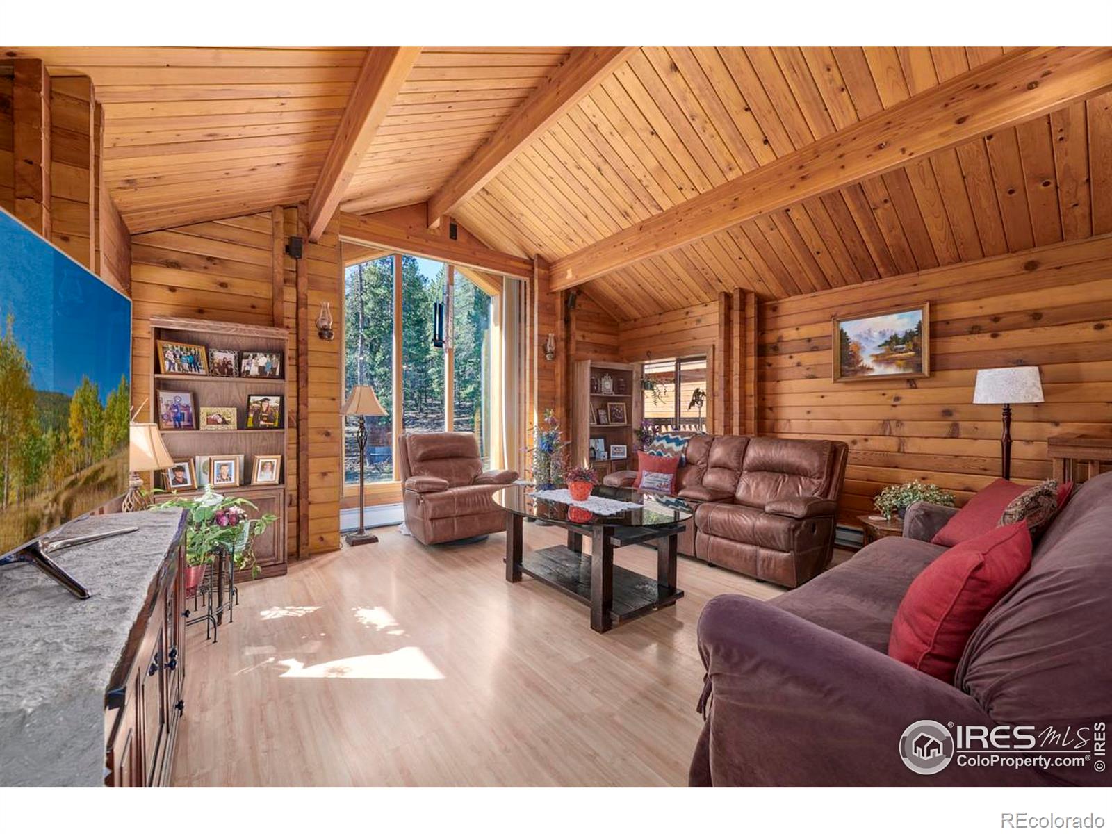 MLS Image #5 for 78  county road 68 ,nederland, Colorado