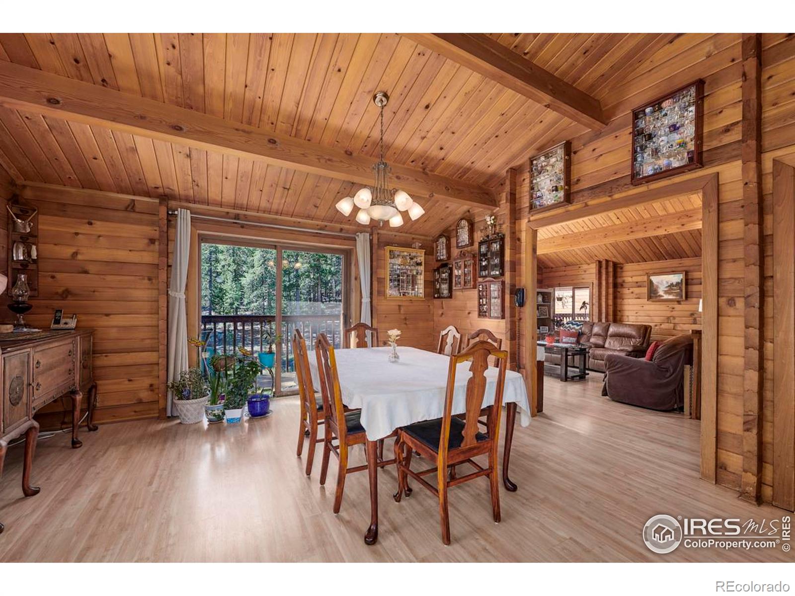 MLS Image #6 for 78  county road 68 ,nederland, Colorado
