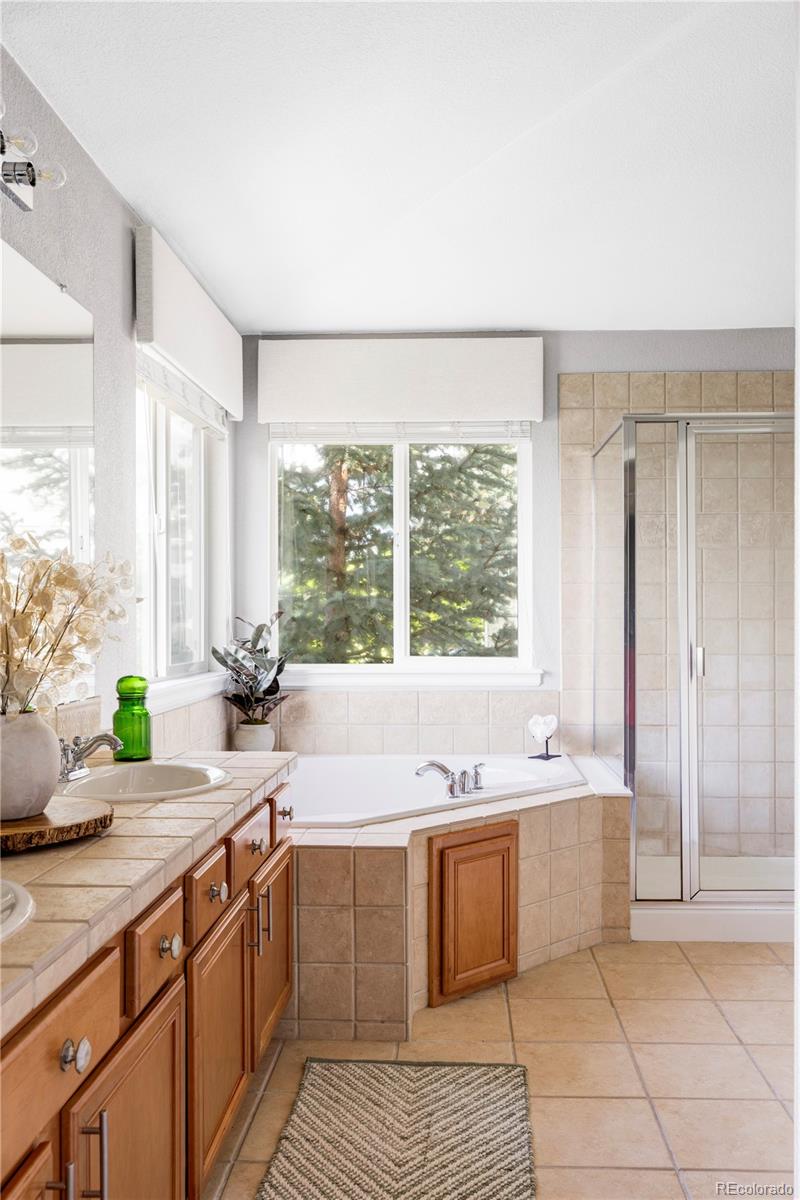 MLS Image #23 for 7700  bison court,littleton, Colorado