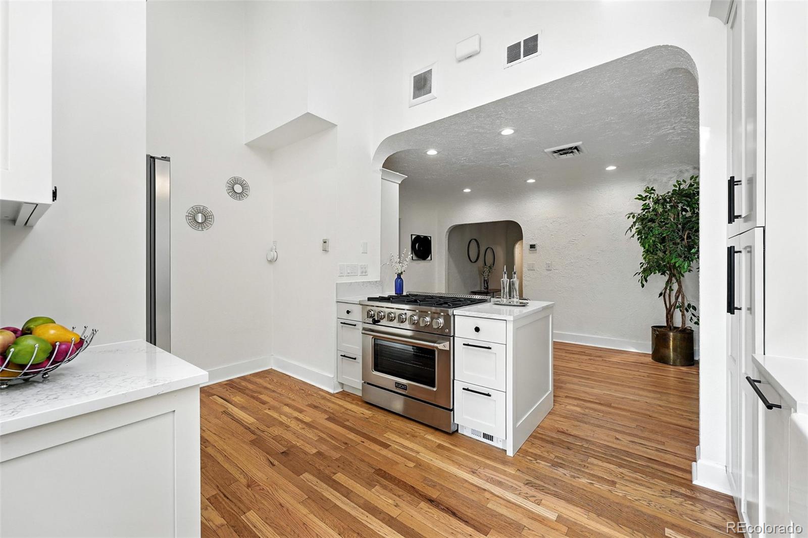 MLS Image #10 for 1731  locust street,denver, Colorado