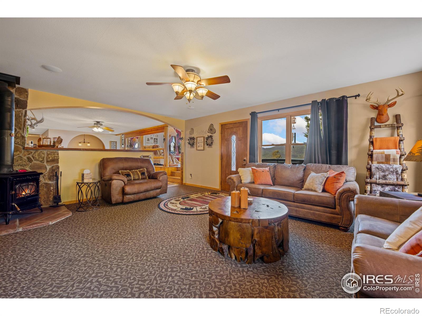 MLS Image #8 for 578  alpine drive,estes park, Colorado