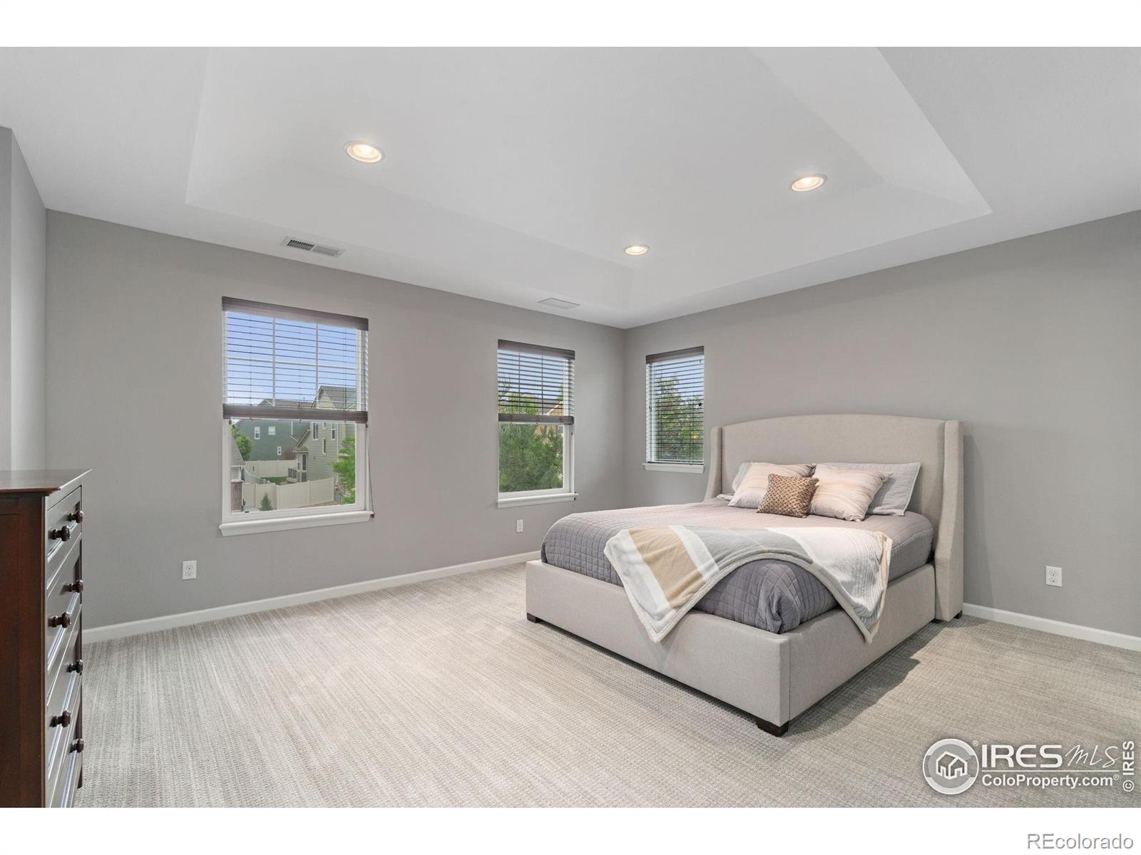 MLS Image #12 for 17805  coral burst street,parker, Colorado